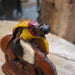 1940's - 1950's Wood Pulp Buckin' Horse Bookends Collectibles MISC
