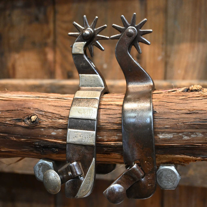 DM #429 Silver Mounted 10pt. Spurs