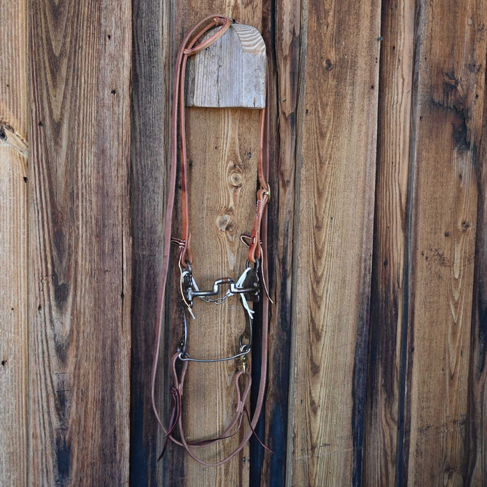 Hinge Correction Bridle Rig w/Single Ear Headstall Sale Barn misc