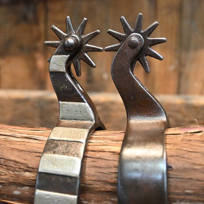 DM #429 Silver Mounted 10pt. Spurs