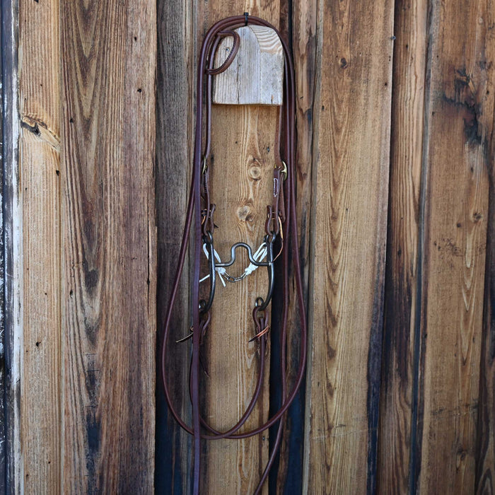 Solid Port Bridle Rig w/All New Leather