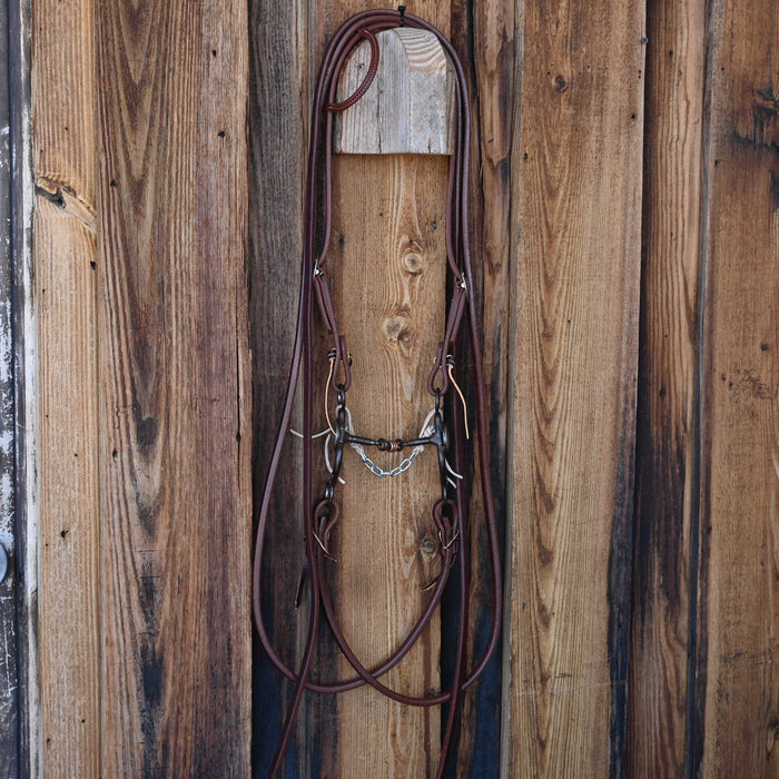 Mike Gallespie Dogbone Bridle Rig w/All New Leather