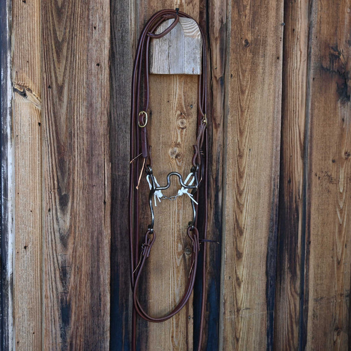 Jim Edwards Solid Port Bridle Rig w/All New Leather
