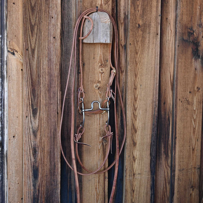 Kerry Kelley 50 Solid Port Bridle Rig w/All New Leather