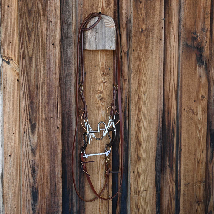 Tom Balding Correction Bridle Rig w/All New Leather