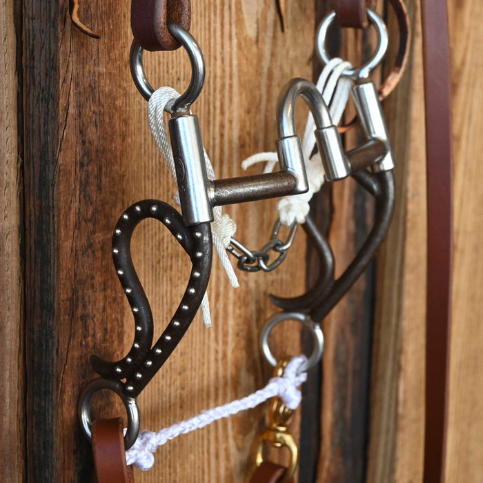 Tom Balding Correction Bridle Rig w/All New Leather