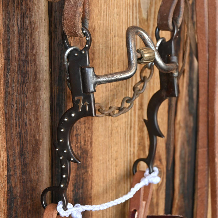 Jodi Hinson Solid Port Bridle Rig w/Split Ear Headstall