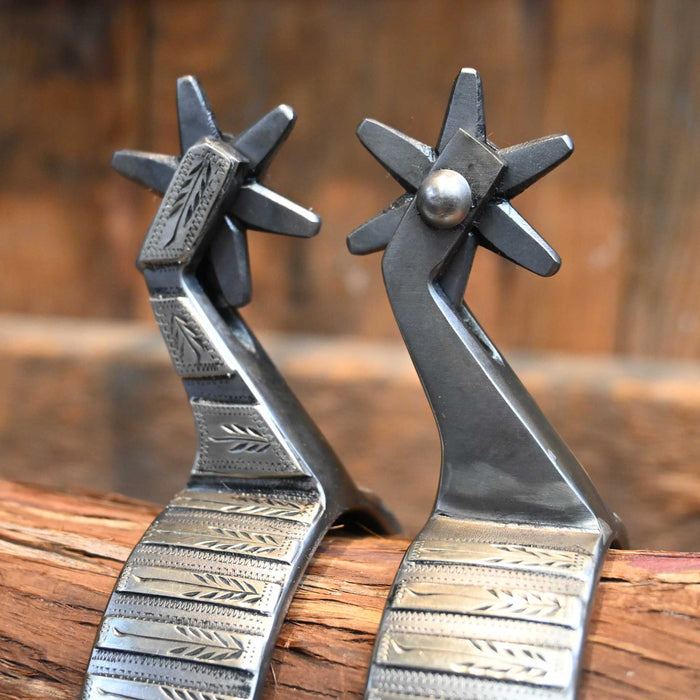 Farkas #1178 Silver Mounted 6pt. Spurs