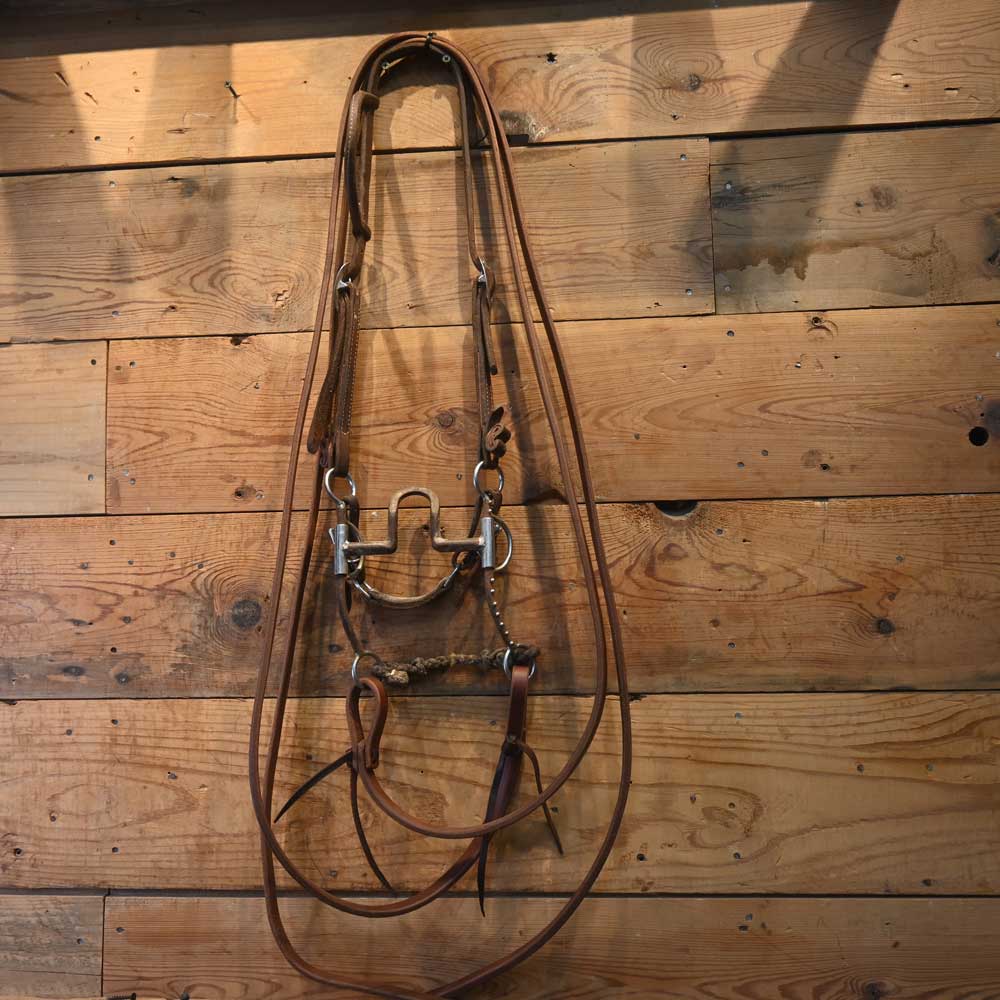 Bridle Rig - Nice Leather with a High Port Bit RIG203 Tack - Rigs MISC   