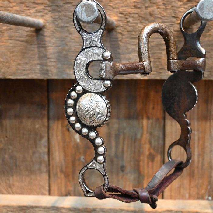 Sunny Silva Silver Mounted Corrections Bit
