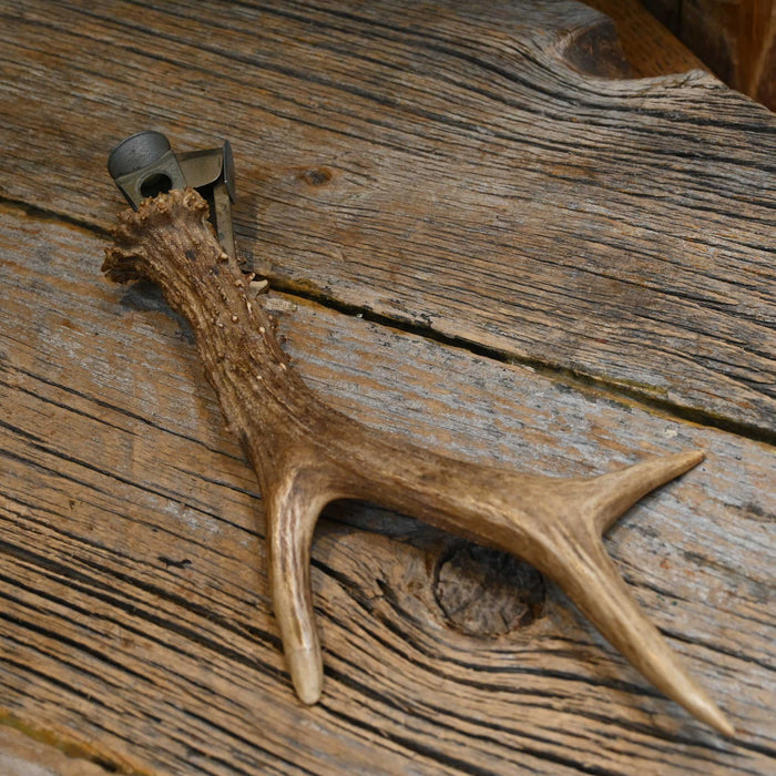 Antler Cigar Cutter Collectibles Teskey's