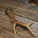 Antler Cigar Cutter Collectibles Teskey's