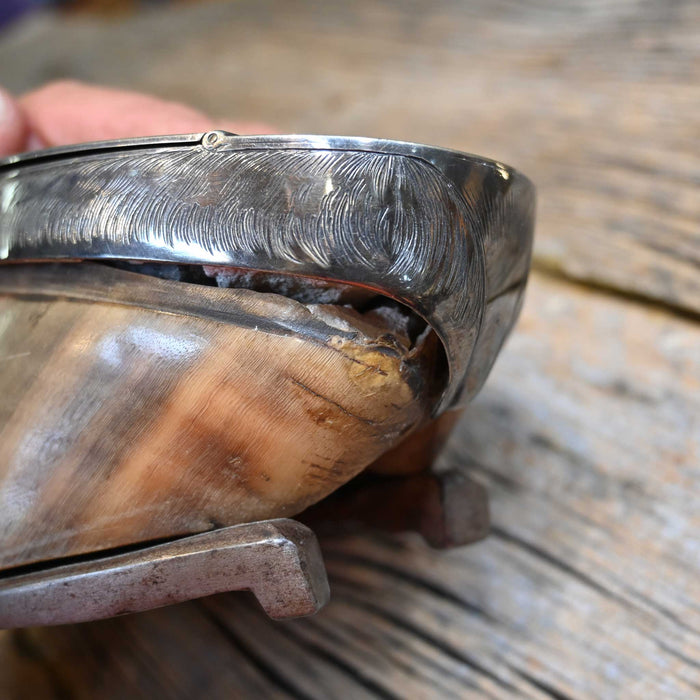 Vintage Horse Hoof Jewelry Box with Sterling Silver Case