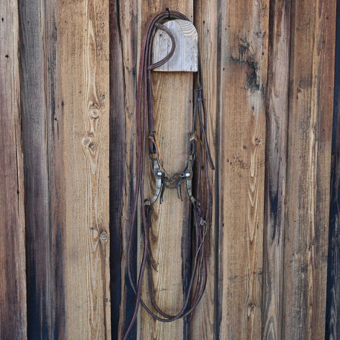 Chain Bridle Rig w/Single Ear Headstall