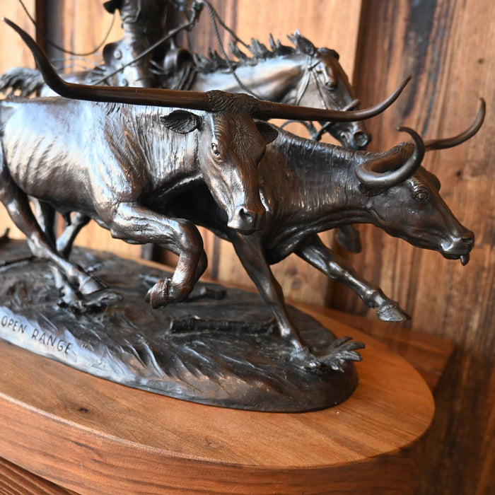 "On the Open Range" By Jim Stuckenberg