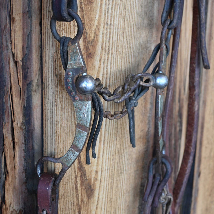 Chain Bridle Rig w/Single Ear Headstall