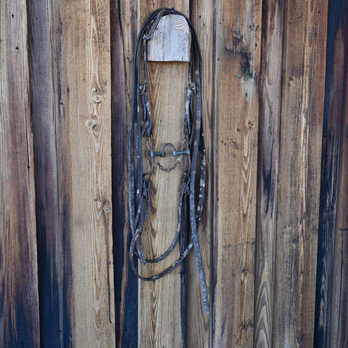 Correction Bridle Rig w/Single Ear Headstall