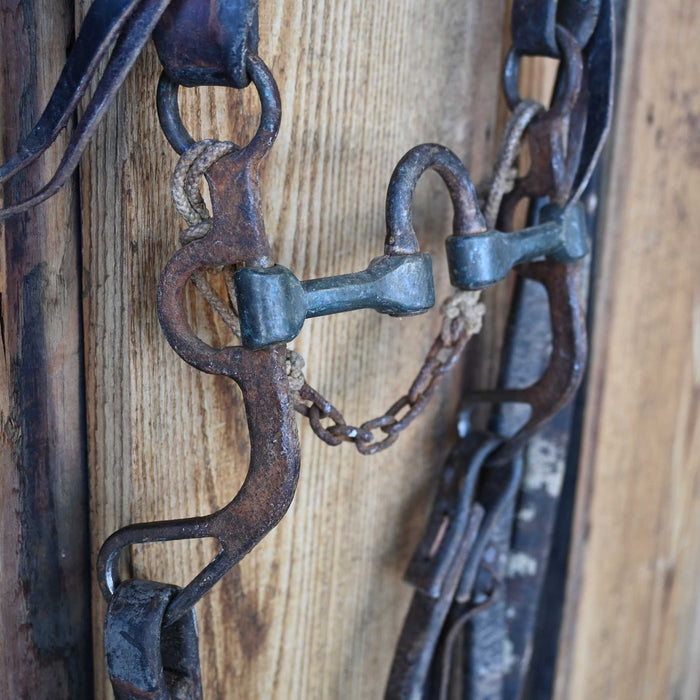 Correction Bridle Rig w/Single Ear Headstall