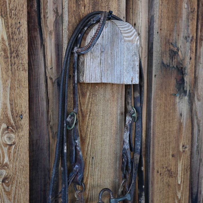 Correction Bridle Rig w/Single Ear Headstall