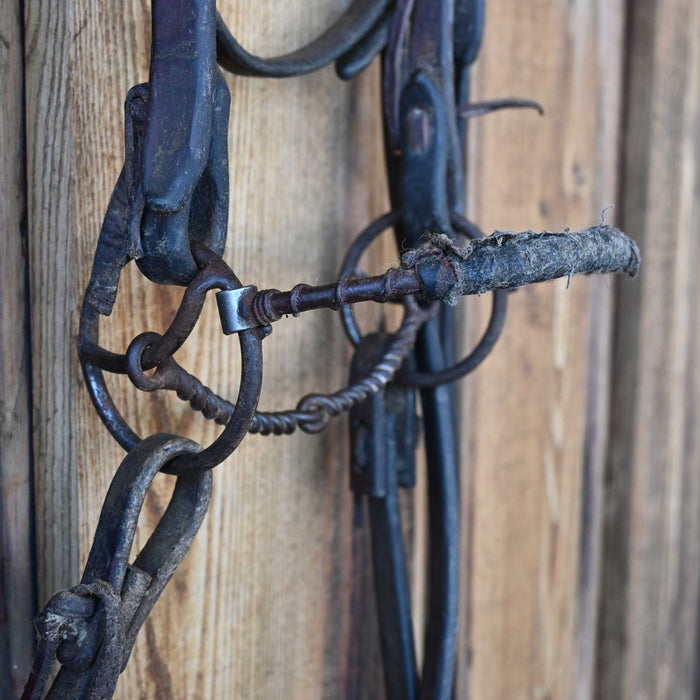 Locked O-Ring Twisted Wire Snaffle Bridle Rig w/Browband Headstall