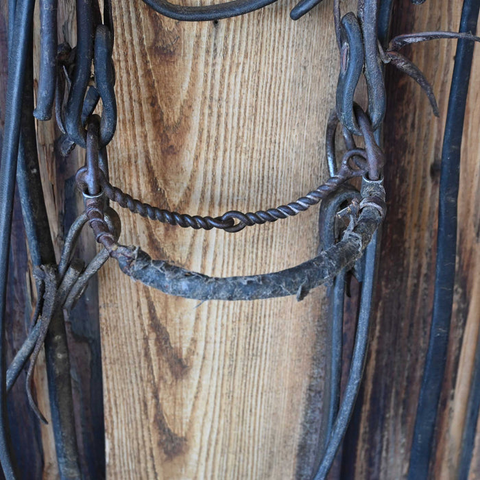 Locked O-Ring Twisted Wire Snaffle Bridle Rig w/Browband Headstall