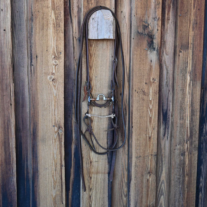 Correction Bridle Rig w/Split Ear Headstall