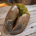 Turn of the Century Hoof Pin cushion Collectibles Misc