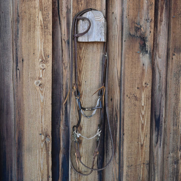Dogbone Bridle Rig w/Single Ear Headstall