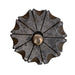 Hand Cut Spur Rowels Great Falls Collection Tack - Conchos & Hardware Teskey's D