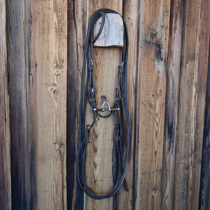Kerry Kelley 65 30 Cathedral Bridle Rig w/Single Ear Headstall