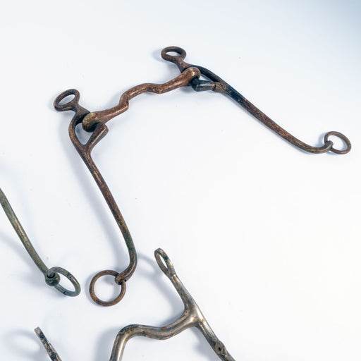Used Assorted Walking Horse Bit Bundle Set Of 3 Sale Barn misc