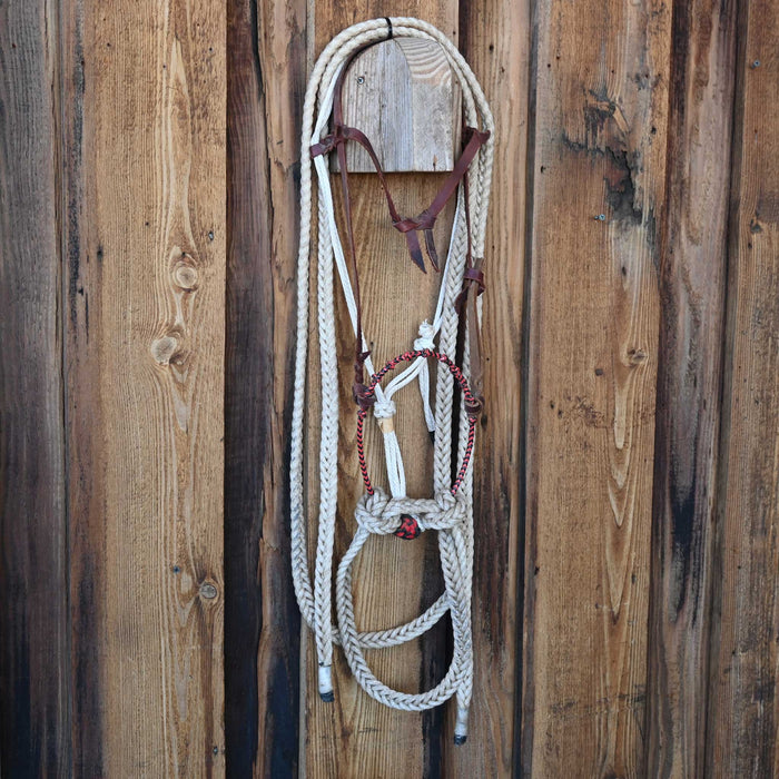 Grant Ogilvie Loping Hack w/Browband Headstall