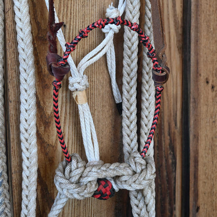 Grant Ogilvie Loping Hack w/Browband Headstall