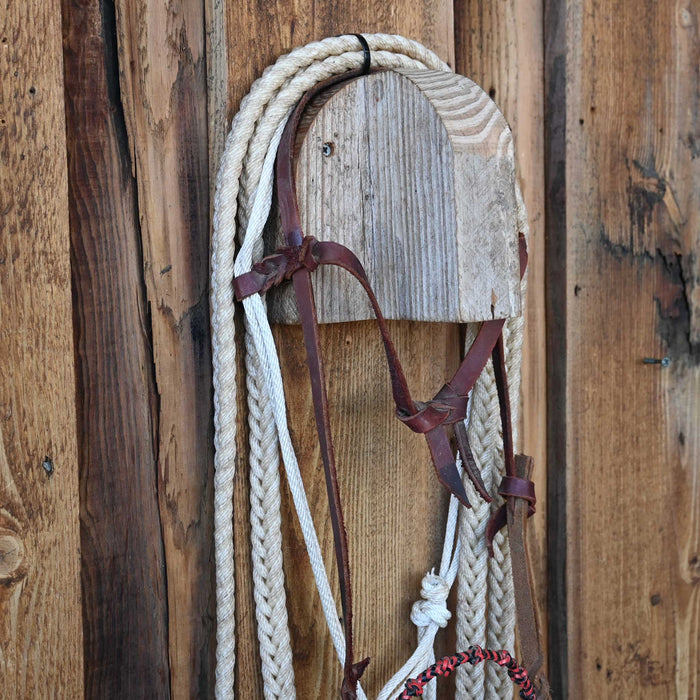 Grant Ogilvie Loping Hack w/Browband Headstall