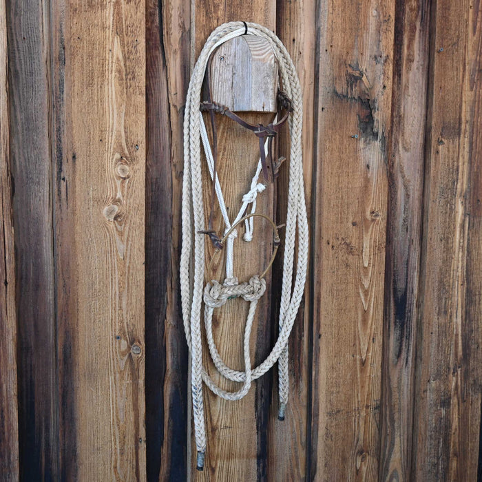 Grant Ogilvie Loping Hack w/Browband Headstall