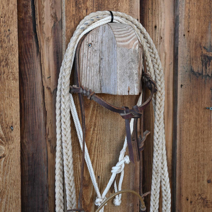 Grant Ogilvie Loping Hack w/Browband Headstall