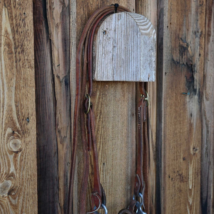 Correction Bridle Rig w/Single Ear Headstall