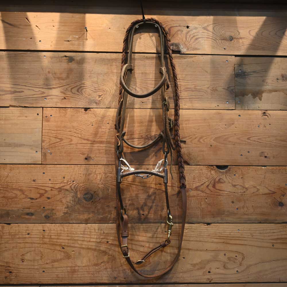 Bridle Rig with a Greg Darnell Mullen Bit  RIG265 Tack - Rigs Greg Darnell   