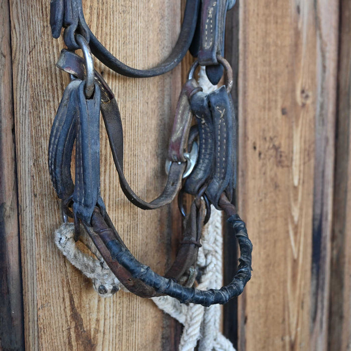 Side Pull Bridle Rig w/Browband Headstall