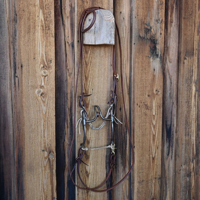 Josh Ownbey Cathedral Bridle Rig w/Single Ear Headstall
