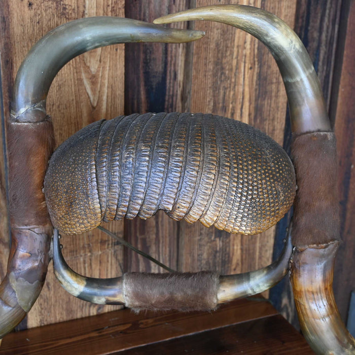 Early 1900's Armadillo & Horn Lamp