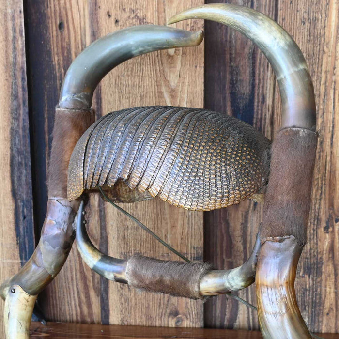 Early 1900's Armadillo & Horn Lamp
