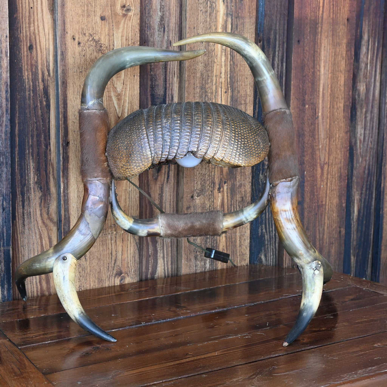 Early 1900's Armadillo & Horn Lamp Collectibles MISC