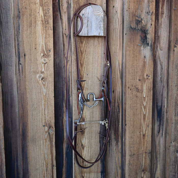 Josh Ownbey Correction Bridle Rig w/Single Ear Headstall