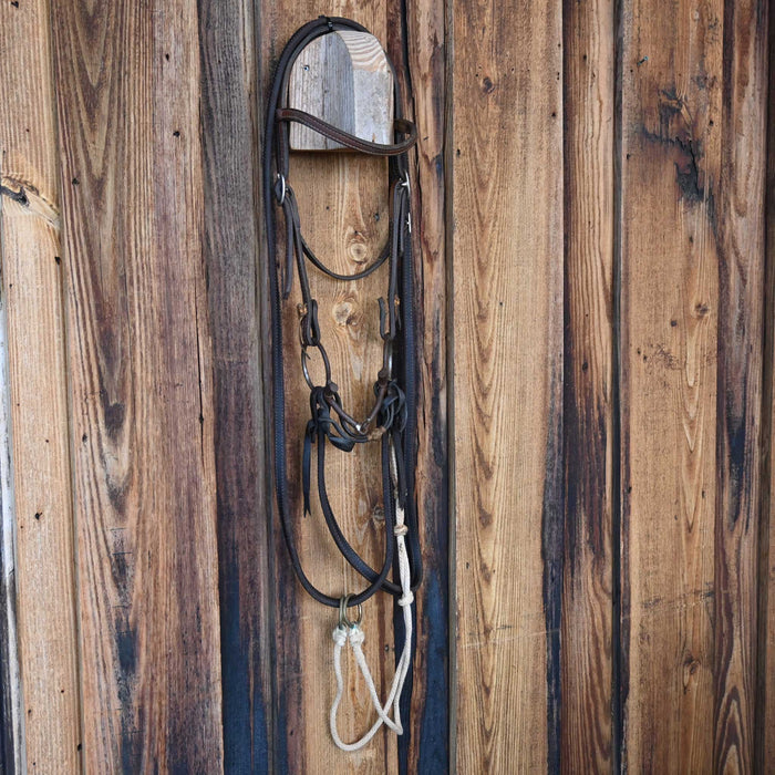 Greg Darnell D-Ring Snaffle Bridle Rig w/Browband Headstall