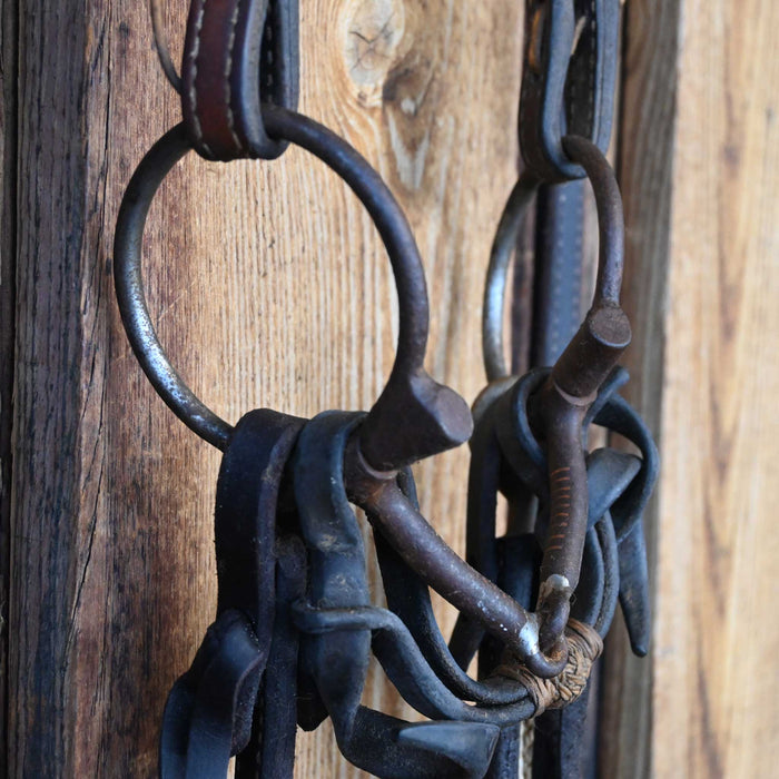 Greg Darnell D-Ring Snaffle Bridle Rig w/Browband Headstall