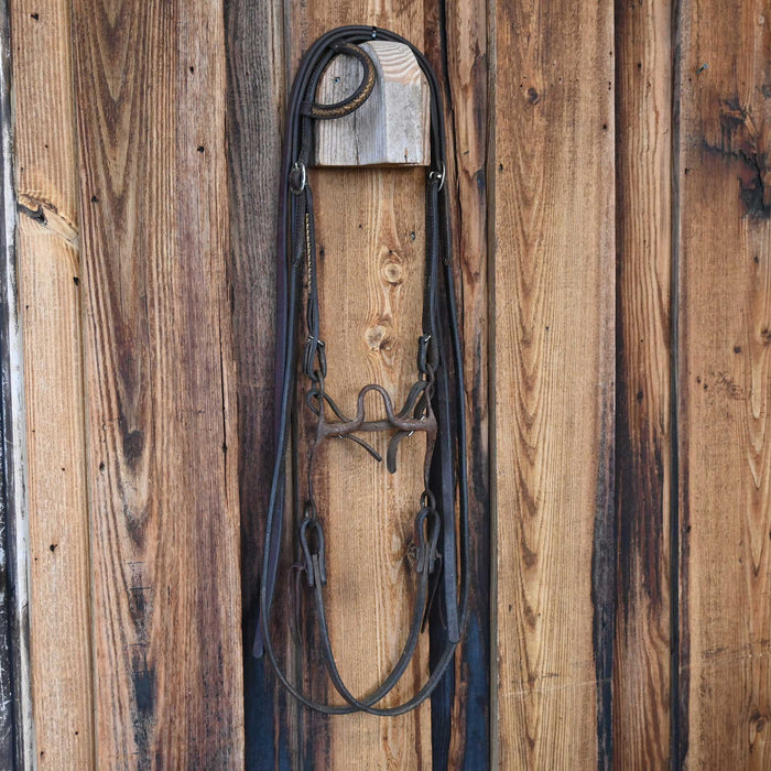 Solid Port Bridle Rig w/Single Ear Headstall