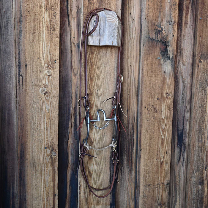 Josh Ownbey Tall Correction Bridle Rig w/Single Ear Headstall