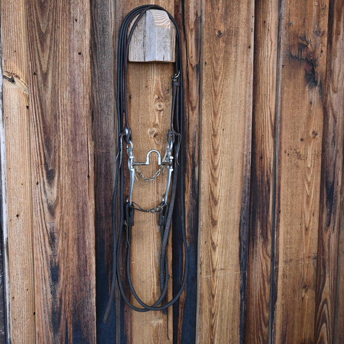 Dennis Moreland Correction Bridle Rig w/Split Ear Headstall