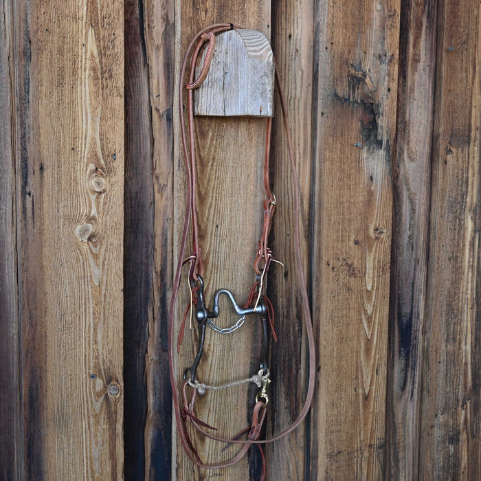 Josh Ownbey Correction Bridle Rig w/Single Ear Headstall